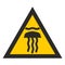 Sign dangerous jellyfish. Yellow triangle