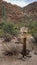 Sign at the Intersection of Second Water Trail and Boulder Canyon Trail