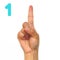 Sign language number 1 for the deaf . Finger spelling ASL. Hand gesture number one