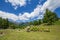 : Sign with the name bohinj in plants at the entrance to the Triglav National park.