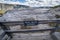 Sign for New Blue Spring, in the Upper Terraces of Mammoth Hot Springs geothermal area of Yellowstone National Park Wyoming