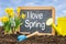 Sign with the text I love spring