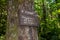 Sign to the summit on the Cedar Butte trail in the Olallie State Park, Washington, USA