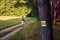 Sign on tree trunk in forest. Male hiker goes down a path in the grass with a backpack on his back