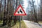 Sign about of wild moose on a forest road