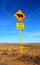 Signage next to the road in the high desert - Open range - cow - West of the USA