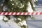 Signal striped tape near trees in the snow. Park hazard warning. Warning signs for people. Attention - collapse