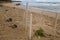 Signals marking sea turtle nest at beach. Hatching of endangered specie protected. Reptile hatchling, in nature, landscape view