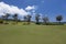 Signiture green on oceanside maui course,