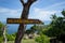 A signpost / direction installed in a tree for traveler to Klingking Beach, Nusa Penida, Bali