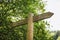 Signpost of Wildnis-Trail in Eifel National Park, Germany. Wooden direction sign in front of trees