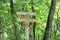 Signpost in the woods