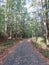 Signs of Fall on the Woodland Hike