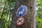 Signs on a tree indicating in French forbidden to dogs except on a leash