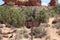 Signs at Windows Loop Trail at Arches National Park. Utah