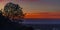 Sihouette of trees at sunset in San Elijo Lagoon