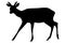 Sika deer with horns. Black silhouette