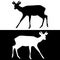 Sika deer with horns. Black and white silhouettes