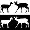 Sika deer with horns. Black and white silhouettes