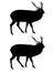 Sika Deer Silhouette ~