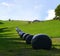 Silage bales, black plastic wrapped, in an uphill lineline