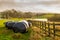 Silage bales beside a wooden fence in a green field, at sunset