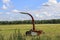 Silage and forage harvesting equipment is standing on the edge of the field, waiting for work. A harvester near  field, before