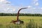 Silage and forage harvesting equipment is standing on the edge of the field, waiting for work. A harvester near  field, before