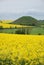 Silbury Hill, Wiltshire