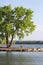 Silence lake Bench and tree