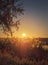 Silent evening near the pond with the sun going down over the reed vegetation. Peaceful dusk scene, natural background