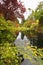 Silent pond in the Canadian park