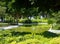 Silent pond in a green park in Antalya, Turkey