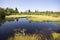 Silent pond in the marsh