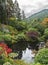 Silent pond with yellow leaves