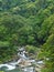 Silent River and green forest