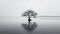 Silent Serenity: Minimalistic Nature Photography With Isolated Tree On Water