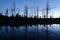 Silhouet reflection in pond, Yellowstone National Park