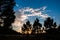 Silhoueta of pine trees with a beautiful sky at dawn