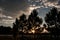 Silhoueta of three pine trees with a beautiful sky at dawn