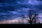Silhouete of tree with dark cloudy sky before a thunder-storm
