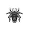 Silhouette of a 3D spider tarantula isolated on white background, insect top view with shadows, black and white animal vector