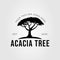 silhouette acacia tree or nature plant logo vector illustration design.