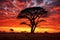 silhouette of acacia tree at sunset in vast savanna