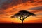 silhouette of acacia tree at sunset in vast savanna