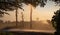 Silhouette of agricultural irrigation system watering cornfield at sunset. Cornfield irrigation using the center pivot sprinkler