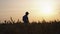 Silhouette of agronomist standing in wheat field