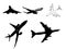 Silhouette of airplanes