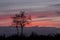 Silhouette of Alone Tree Against Vivid Twilight Sky