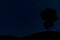 Silhouette of alone tree in deep night sky